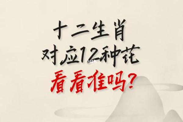 探秘1942年出生者的生肖属相及其文化意义